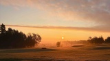 gallery FOTOGRAFIE GOLF BOTANIKA 3